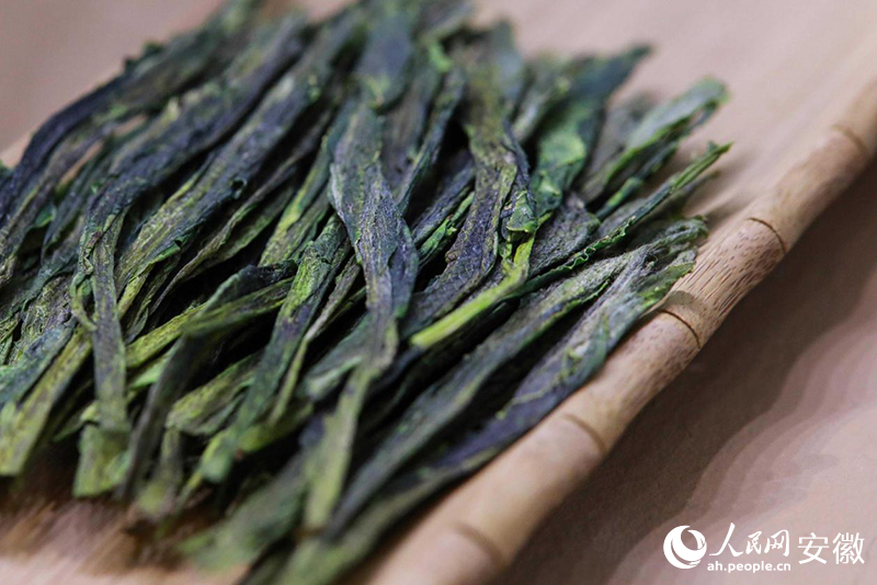 中國(guó)十大名茶——太平猴魁。人民網(wǎng)記者 張俊攝