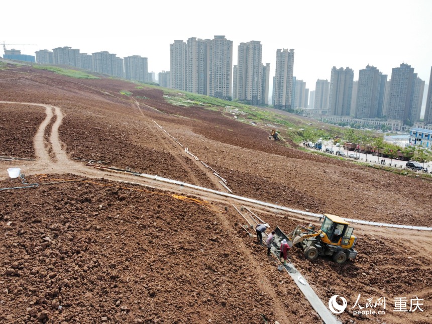 工人正在平整后的土地上修建簡易人行步道。人民網(wǎng)記者 劉政寧攝