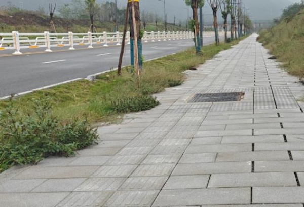 重慶高新區(qū)濱河路南段透水鋪裝。重慶市住房城鄉(xiāng)建委供圖