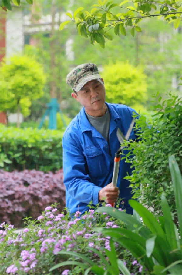 招商社區(qū)植被修剪與補(bǔ)栽。招商積余重慶公司供圖