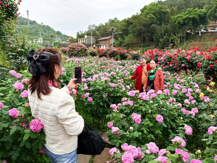 游客置身花海，拍照記錄。徐雯瑄攝
