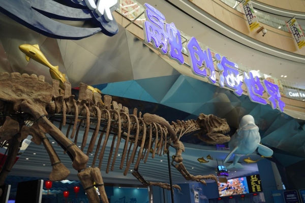 活動現(xiàn)場。融創(chuàng)文旅城供圖