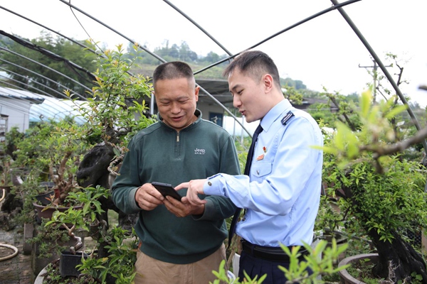 豐都縣稅務人員走進縣園博苗木種植場，講解涉農(nóng)稅收政策和納稅申報注意事項。張凌云攝