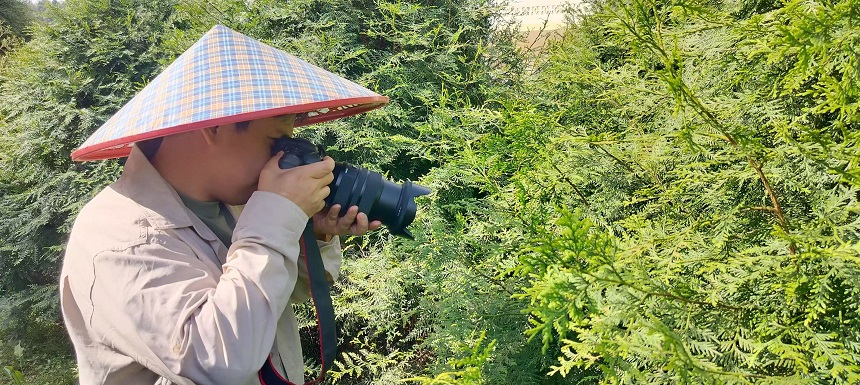 蔡松余拍照記錄崖柏生長(zhǎng)情況。周小平攝