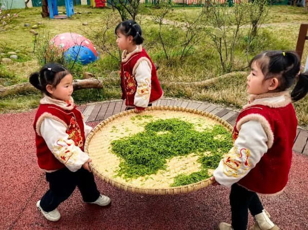 中班幼兒體驗(yàn)制茶。三官殿幼兒園供圖