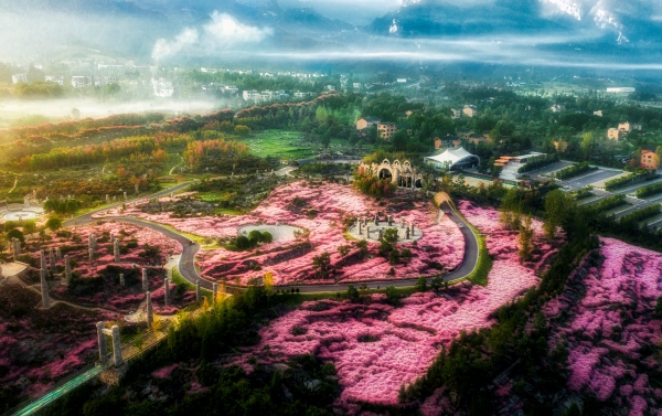 疊石花谷。酉陽縣委宣傳部供圖