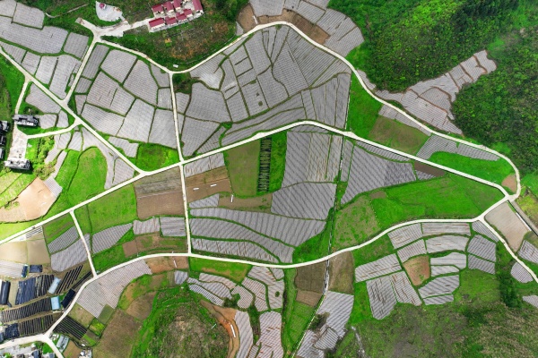 涂市鎮(zhèn)銀嶺村春耕場景。陳碧生攝