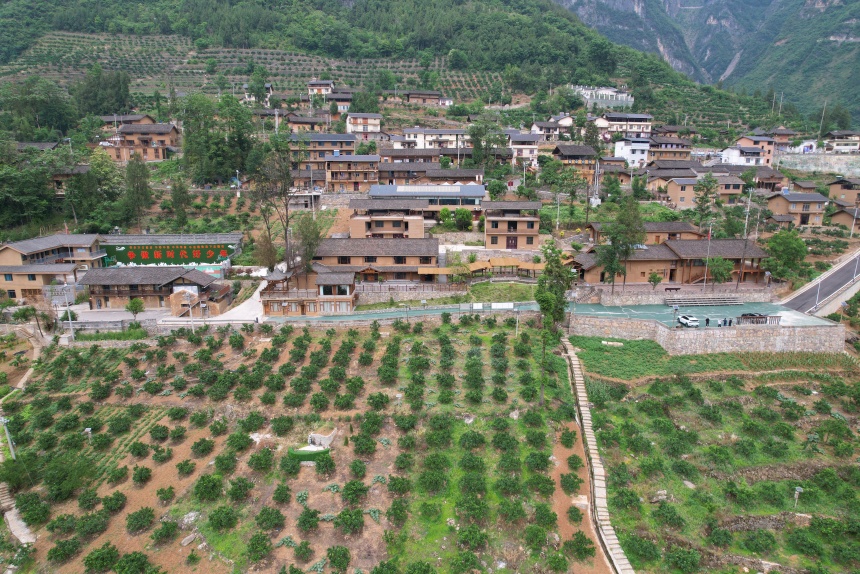 下莊村夏日景色。鄒樂攝