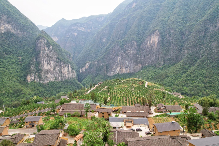 下莊村夏日景色。鄒樂攝