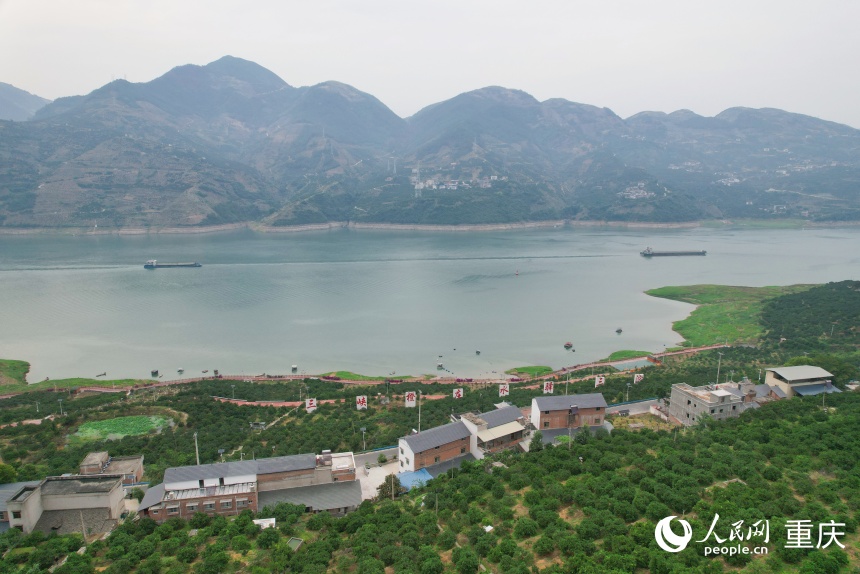 位于長江上游南岸的三沱村。人民網(wǎng)記者 劉政寧攝