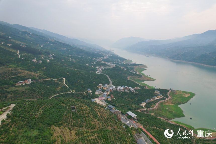 位于長江上游南岸的三沱村。人民網(wǎng)記者 劉政寧攝