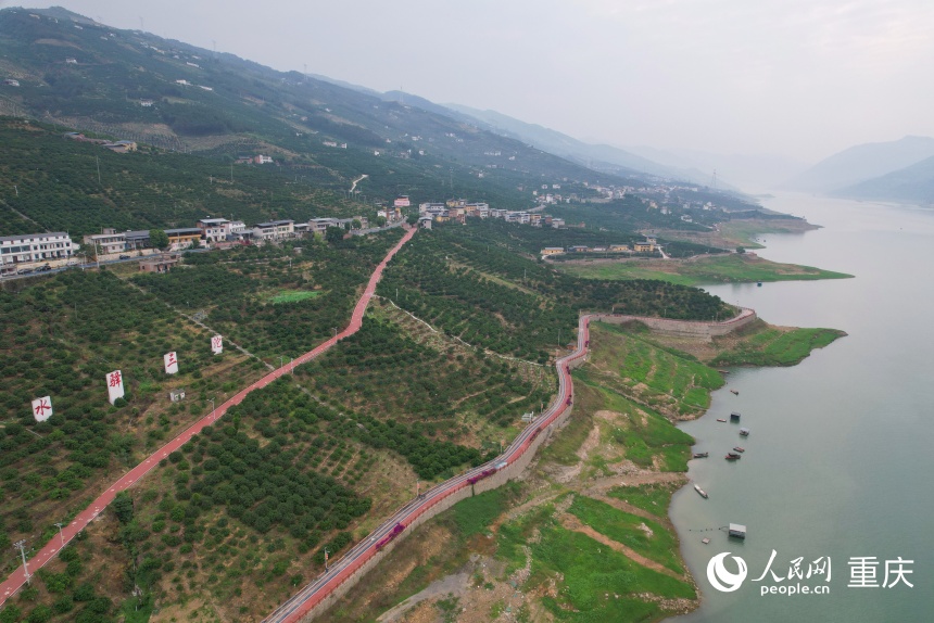 三沱村依托一顆顆臍橙樹實現(xiàn)了超億元產(chǎn)值。人民網(wǎng)記者 劉政寧攝