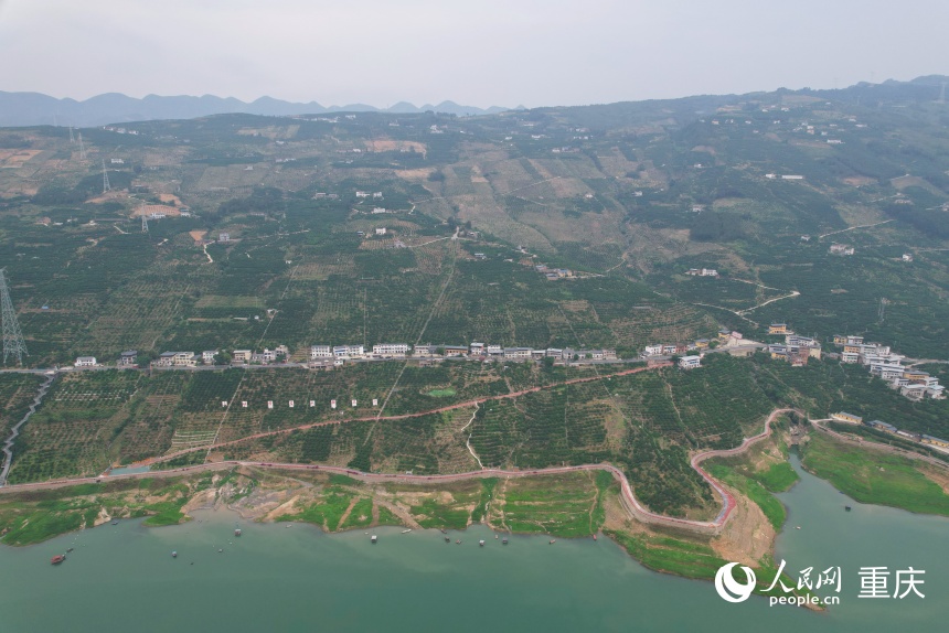 位于長江上游南岸的三沱村。人民網(wǎng)記者 劉政寧攝