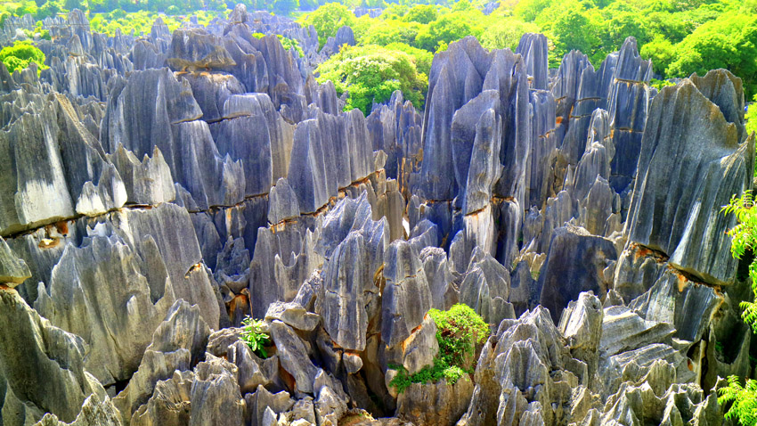 大石林。石林風(fēng)景名勝區(qū)管理局供圖