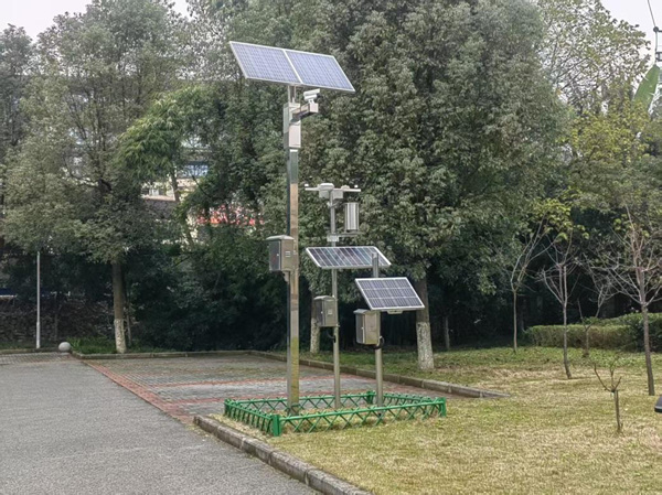 古樹名木智慧監(jiān)測系統(tǒng)。重慶市林業(yè)局供圖