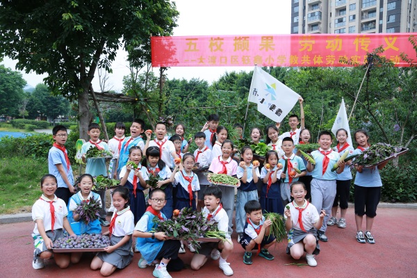 采摘節(jié)活動(dòng)現(xiàn)場(chǎng)。張?jiān)磾z