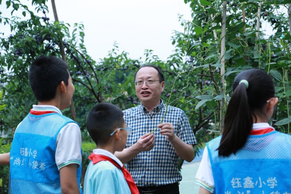 景翔小學(xué)黨支部書記肖幫林為學(xué)生講解豇豆的生長(zhǎng)過程。張?jiān)磾z