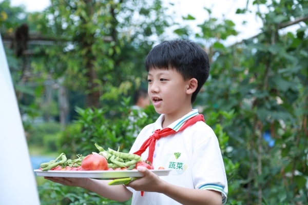 采摘成果。張?jiān)磾z