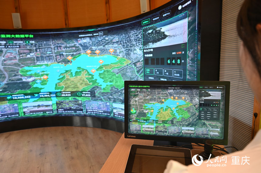 數(shù)字賦能助力鳥類保護(hù)。人民網(wǎng) 鄒樂(lè)攝