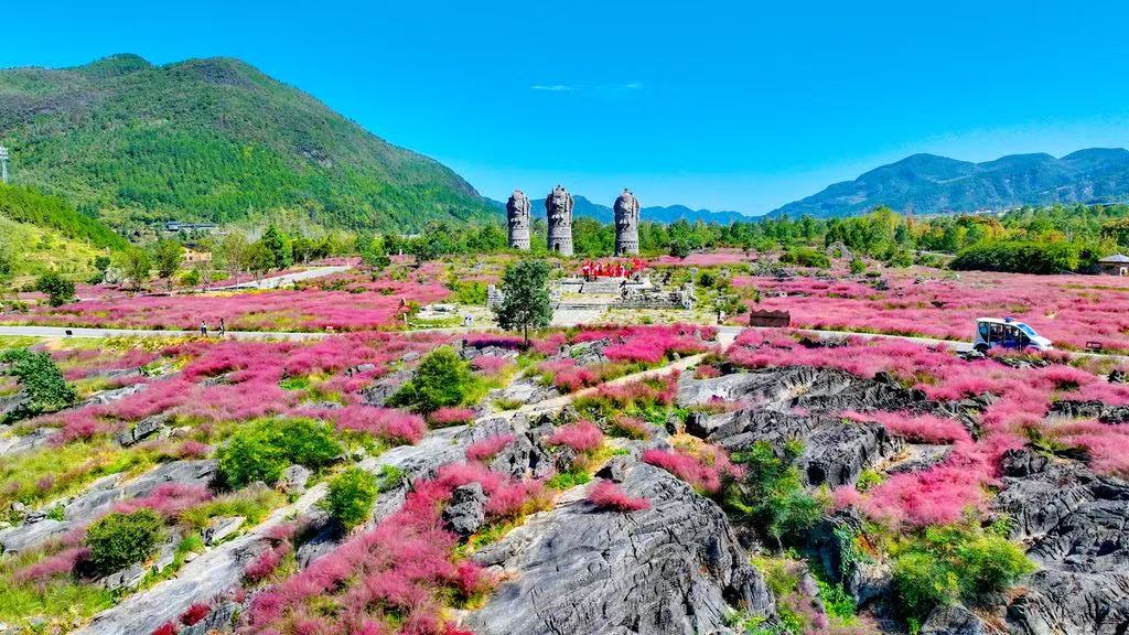酉陽利用石漠化土地打造的疊石花谷景區(qū)。重慶市林業(yè)局供圖