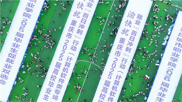 雙選會(huì)現(xiàn)場。主辦方供圖