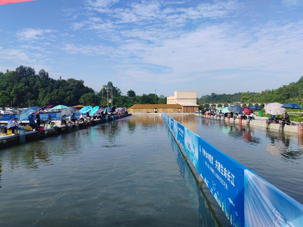 垂釣大賽比賽現(xiàn)場。重慶市休閑垂釣協(xié)會供圖