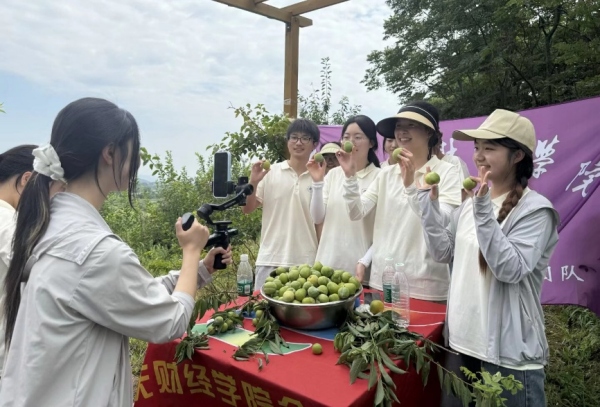 實(shí)踐團(tuán)成員詳細(xì)介紹金鵝村奈李。重慶財經(jīng)學(xué)院供圖