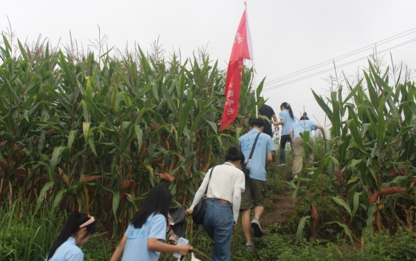 促進(jìn)團(tuán)前往春安村采摘園。唐鈺涵攝