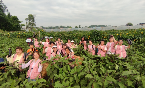 團(tuán)隊(duì)成員幫村民采摘農(nóng)作物。重慶移通學(xué)院供圖
