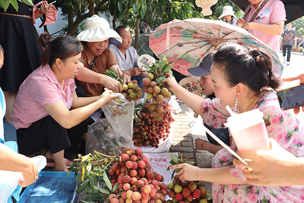 游客現(xiàn)場購買荔枝。涪陵區(qū)委宣傳部供圖