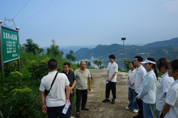 村支書、駐村干部向團(tuán)隊(duì)成員介紹中藥材種植基地情況。重慶交通大學(xué)供圖