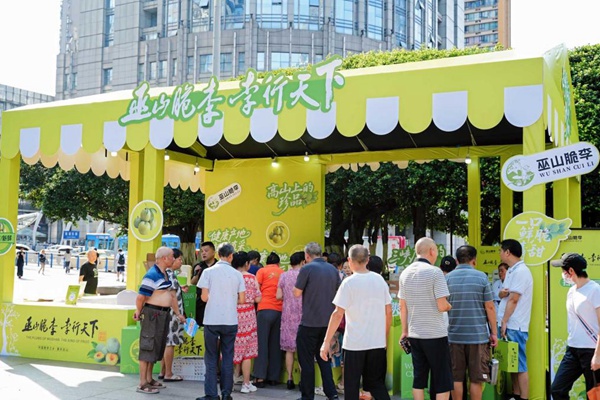 推介會現(xiàn)場。主辦方供圖