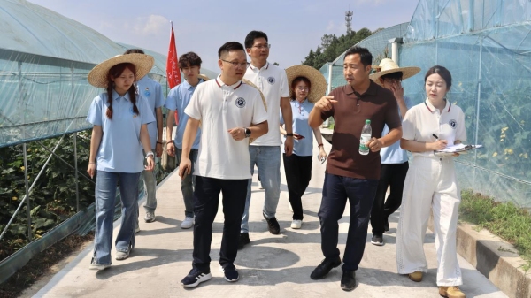 姜國強帶領(lǐng)團隊成員參觀智慧農(nóng)業(yè)基地。重慶理工大學供圖