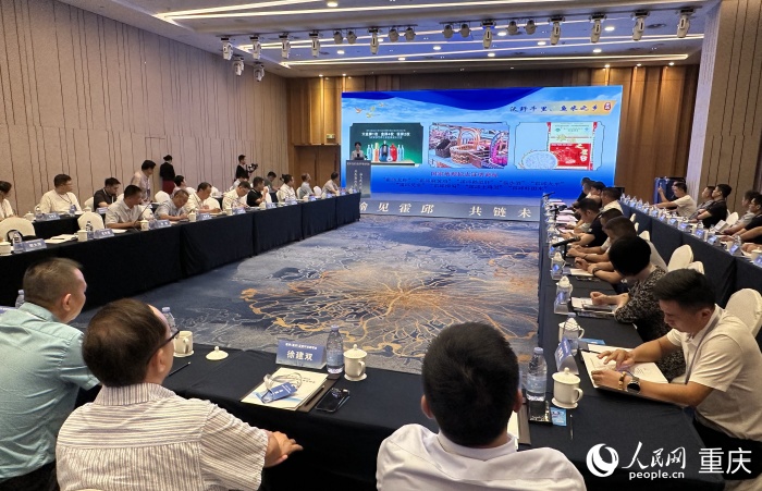 霍邱縣副縣長(zhǎng)毛玲霞為在場(chǎng)企業(yè)家作宣傳推介。人民網(wǎng)記者 劉政寧攝