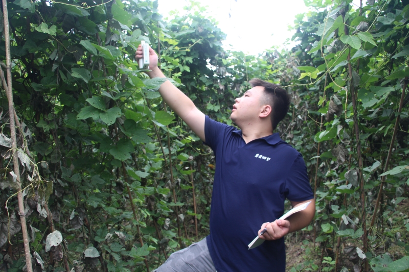 團(tuán)隊成員測試葛根葉片光合速率和葉綠素含量。重慶工程職業(yè)技術(shù)學(xué)院供圖