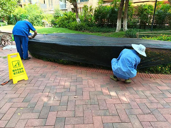 抗旱護綠行動。招商積余重慶公司供圖