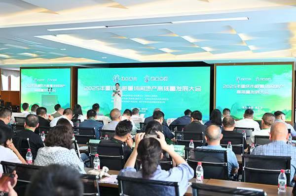 2025年重慶市避暑休閑地產(chǎn)高質量發(fā)展大會在豐都縣南天湖舉行。林心雨攝