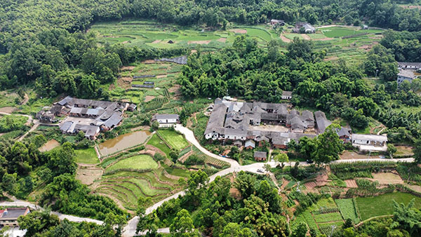 江津區(qū)中山鎮(zhèn)白鶴村白鶴林。重慶市住房城鄉(xiāng)建委供圖