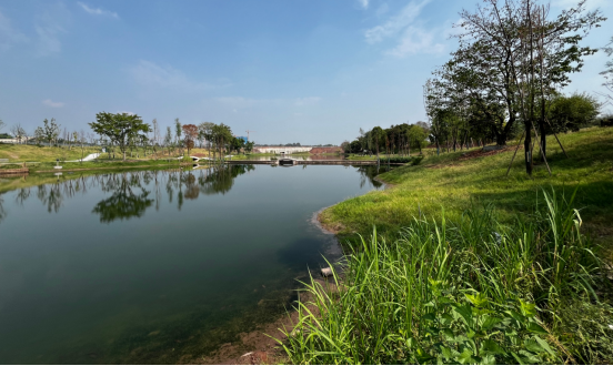 大溪河水系生態(tài)修復(fù)，重現(xiàn)水碧岸綠風(fēng)景美。巴福鎮(zhèn)供圖