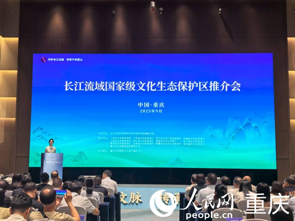 推介會現(xiàn)場。人民網(wǎng)記者 馮文彥攝