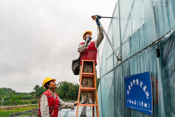 電力人員義務(wù)檢查大棚用電設(shè)備。國(guó)網(wǎng)永川供電公司供圖