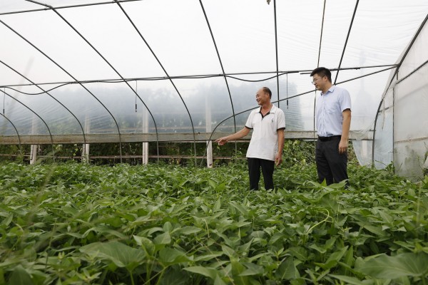 農(nóng)行工作人員到合作社了解情況。鄒雨璠攝