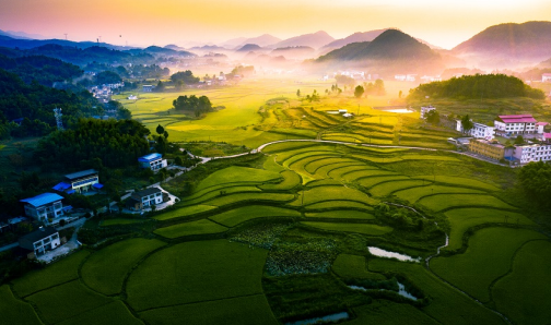 巴渝和美鄉(xiāng)村，一片豐收景象。重慶市農(nóng)業(yè)農(nóng)村委供圖