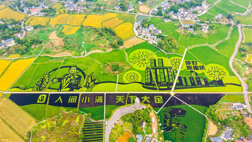 拾萬鎮(zhèn)長虹村隆平五彩田園。受訪者供圖