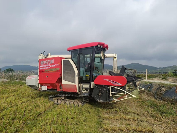 圖為在江津區(qū)白沙鎮(zhèn)，收割機(jī)正在田間作業(yè)。受訪企業(yè)供圖