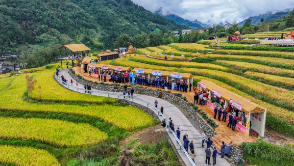 城口縣2025年中國(guó)農(nóng)民豐收節(jié)在高觀鎮(zhèn)舉行。唐小江攝