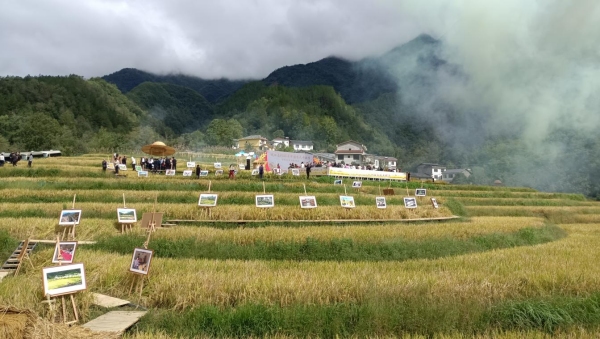 “全民曬豐收”攝影展。羅意攝