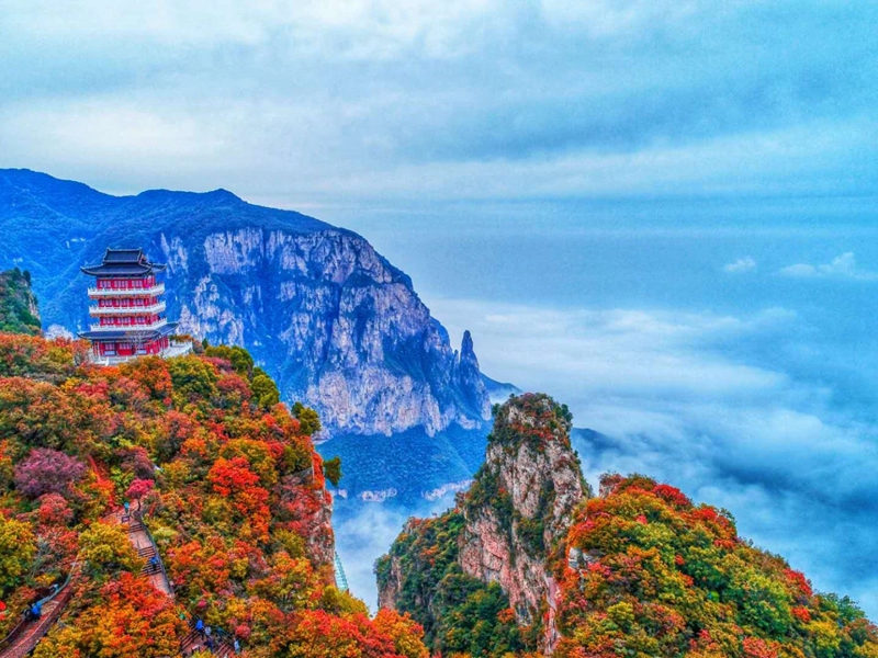 觀云海，賞紅葉，邂逅王維詩(shī)里的云臺(tái)山。段超攝