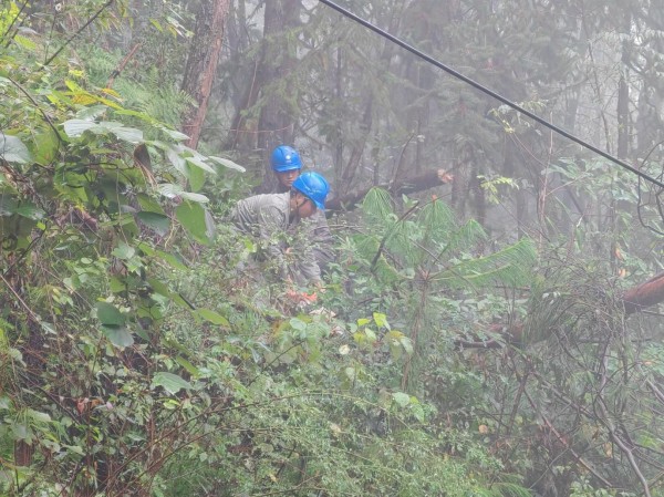 搶修人員在滑坡區(qū)域切割樹干。國網(wǎng)城口供電公司供圖