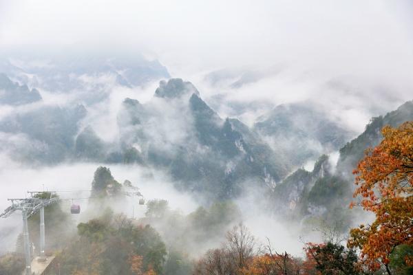 大巴山美麗風(fēng)景。任峰攝